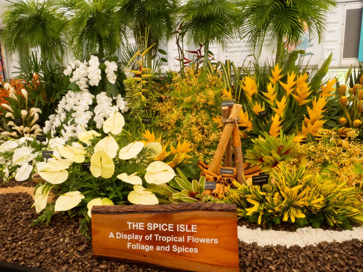 Grenada wins Gold at RHS Chelsea Flower Show 2026